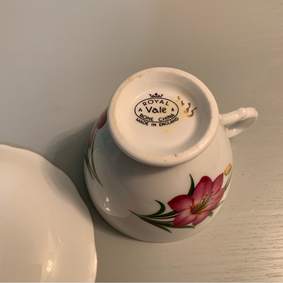 Vintage English Bone China Bittersweet Ridge Royal Vale Tea Cup and Sauc… - Picture 7 of 9